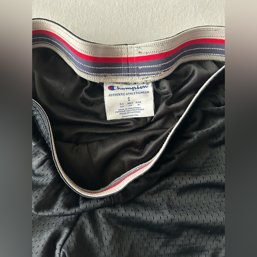 Mesh Champion Shorts - Picture 3 of 4